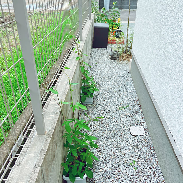 fumofumoさんの実例写真