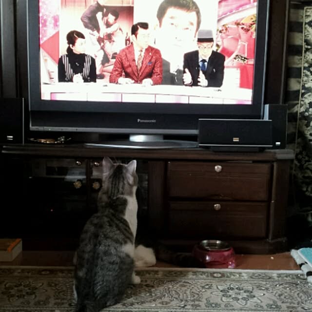 emmyyさんの実例写真