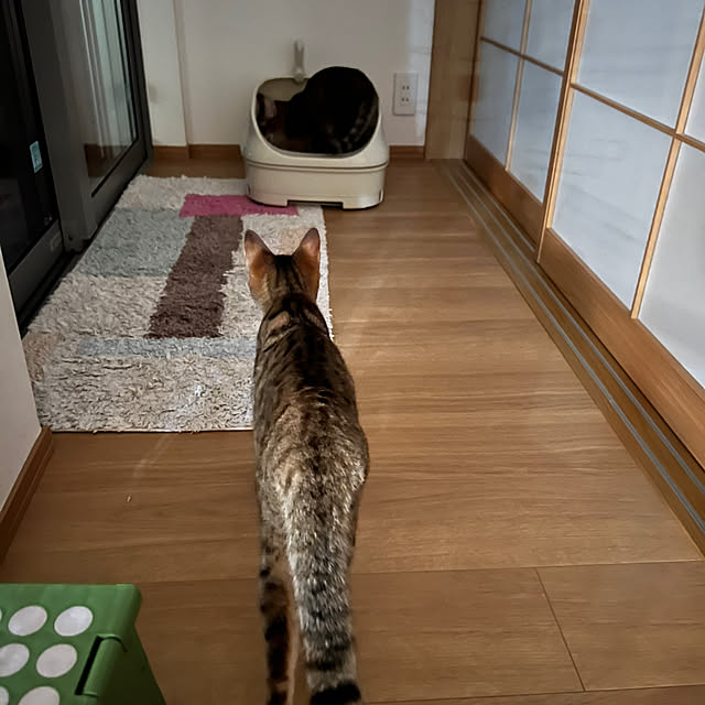 実例写真