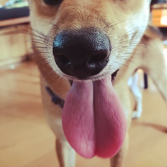 pillowsさんの実例写真