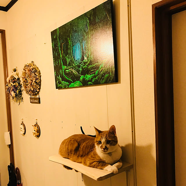 tomiさんの実例写真