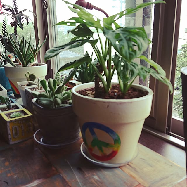 cocosorasakuさんの実例写真