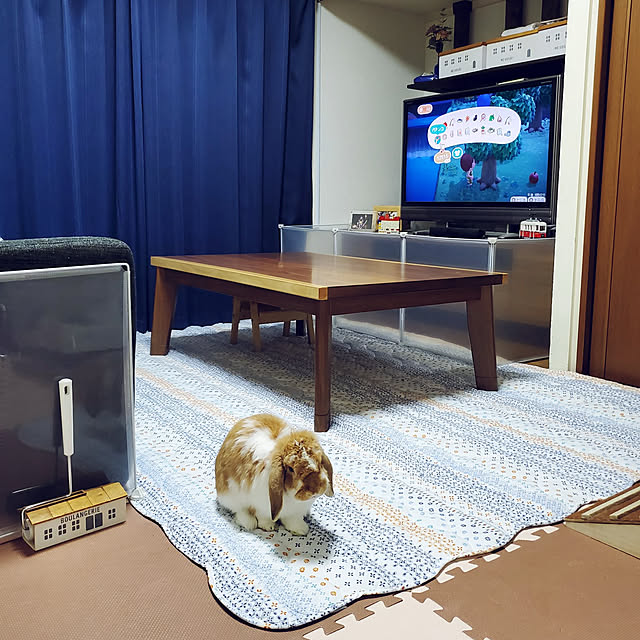 m_geneさんの実例写真
