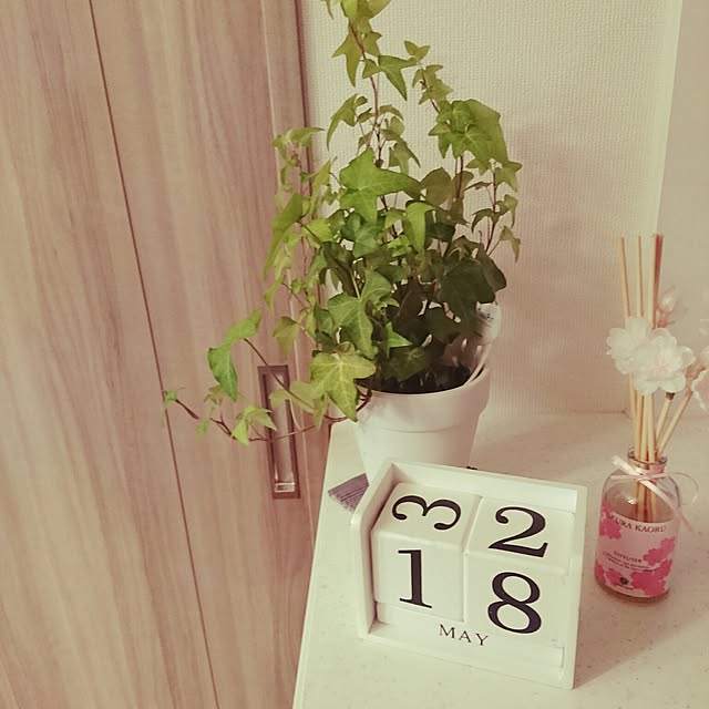 paruさんの実例写真
