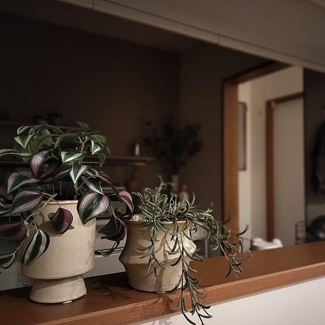 oomiさんの実例写真