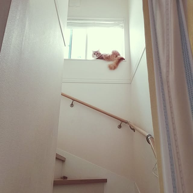 pinokoさんの実例写真