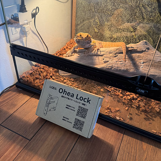 japitonさんの実例写真