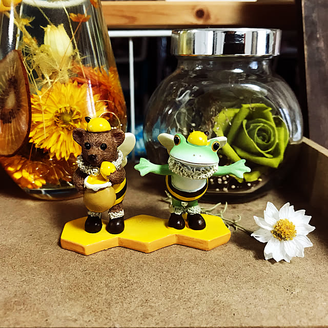 Caoluさんの実例写真