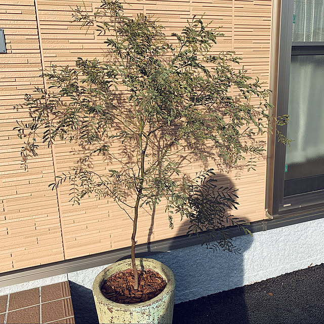 haruさんの実例写真