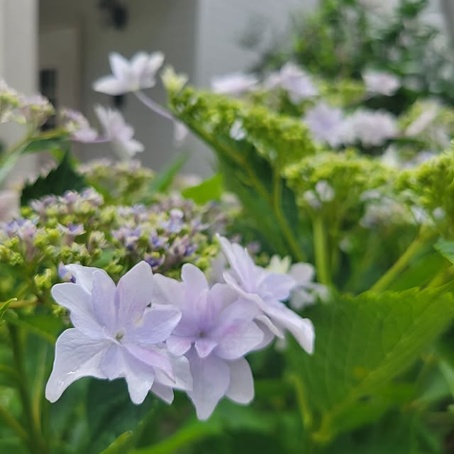 tulipさんの実例写真