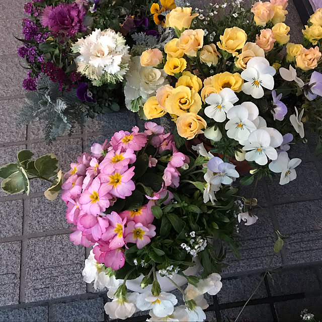 Meimamaosaruさんの実例写真
