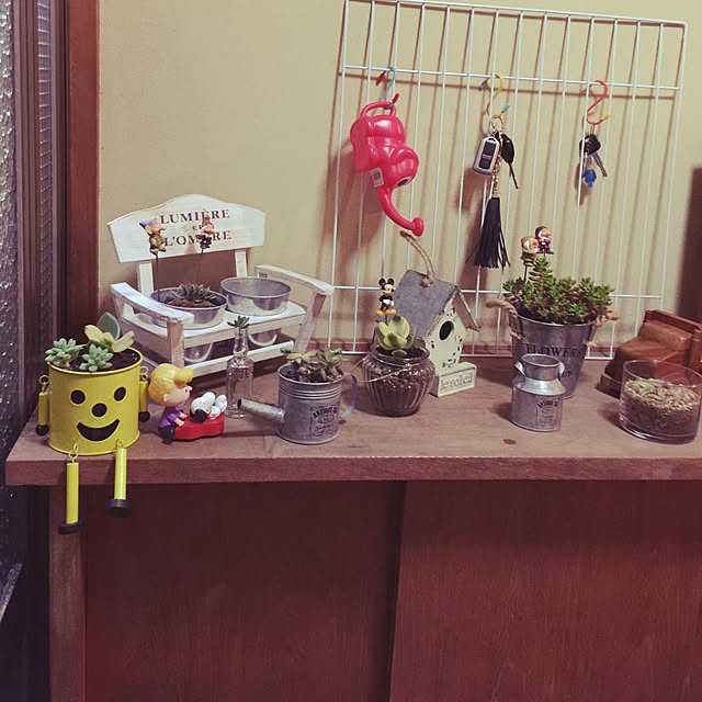 玄関/入り口/セリア/観葉植物/100均/ヤバい。このうち古すぎて。...などのインテリア実例 - 2015-12-09 21:12:30