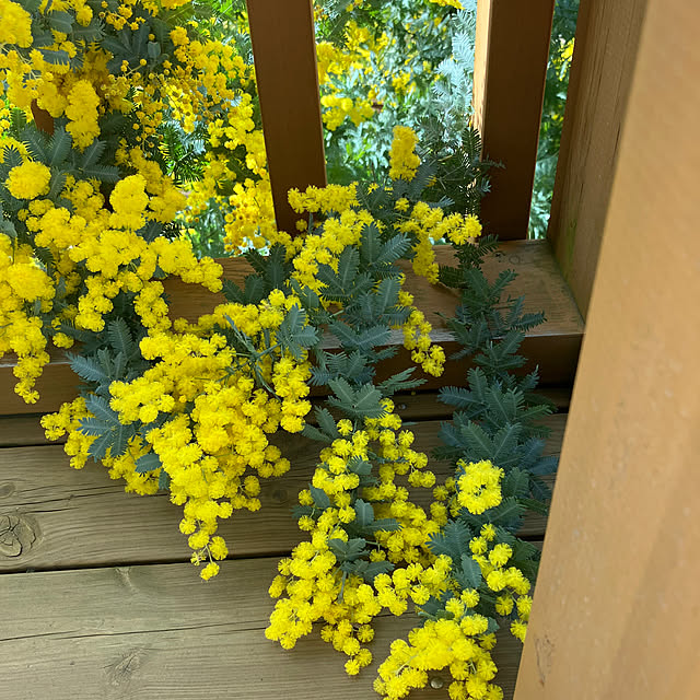 qk2vz4fy8h35kbnfw63nさんの実例写真