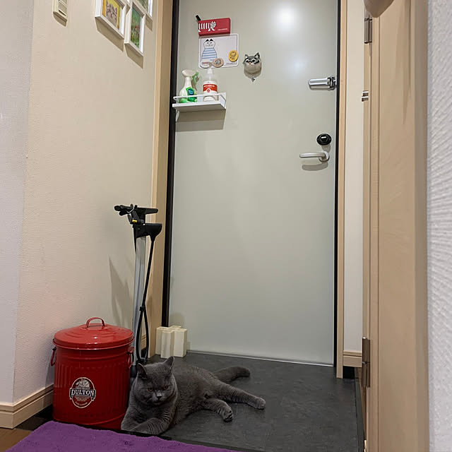 kittyさんの実例写真