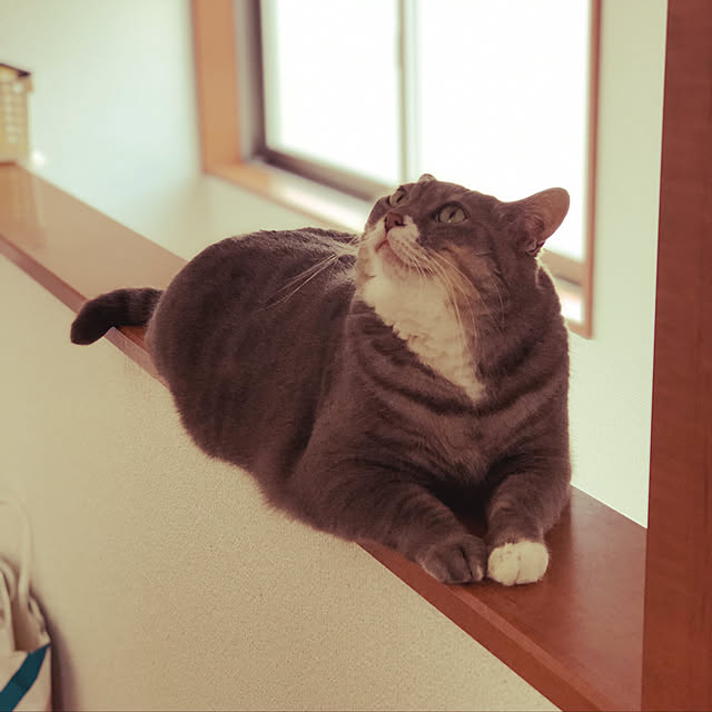 Se-koさんの実例写真