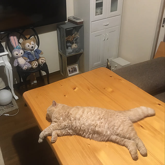 naokoさんの部屋