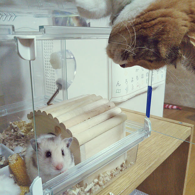 yukieさんの実例写真