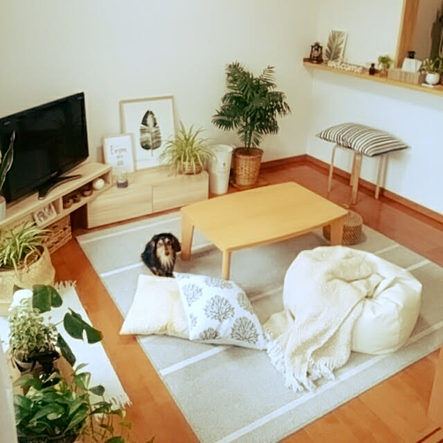 reonさんの実例写真