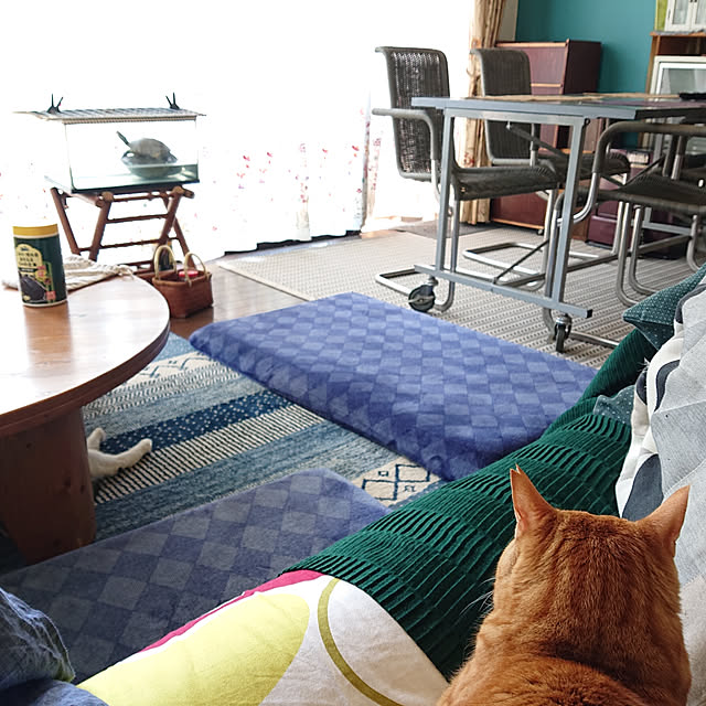okyosan101さんの実例写真