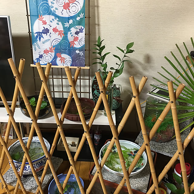 Milkyappleさんの実例写真