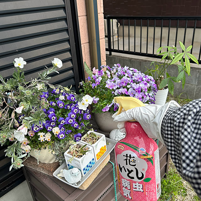 ritsukoさんの実例写真