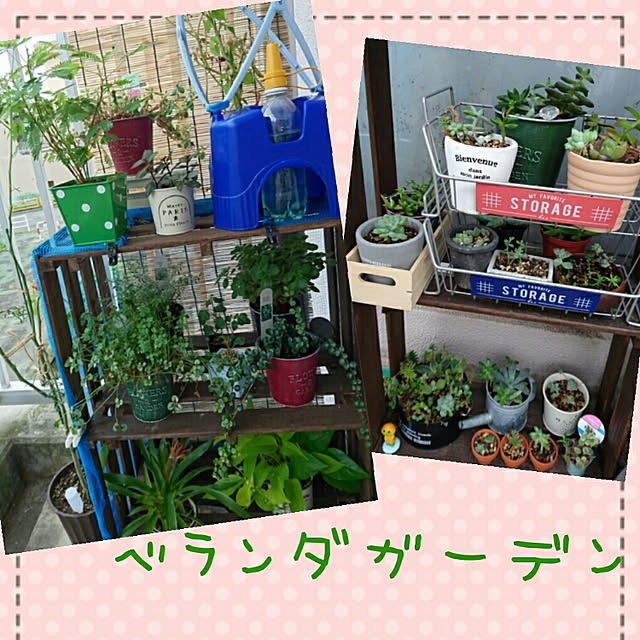 yukinkoさんの実例写真