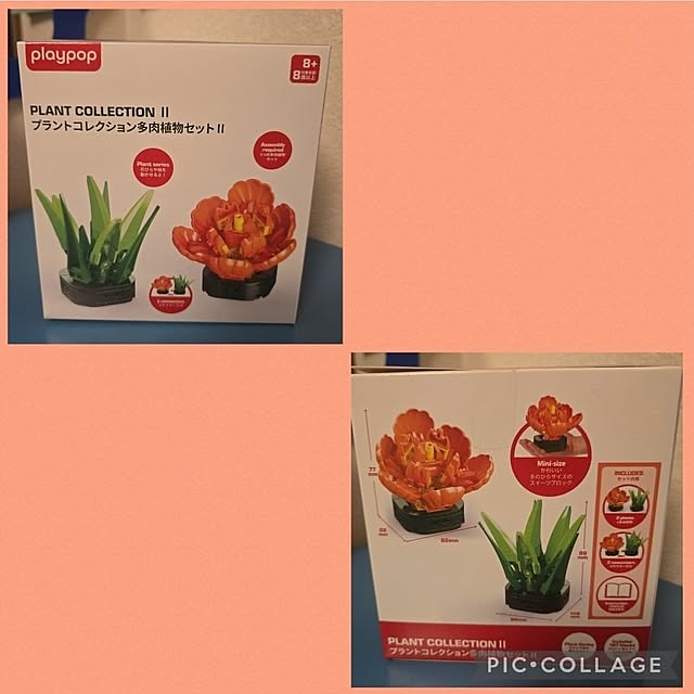 nao814さんの部屋