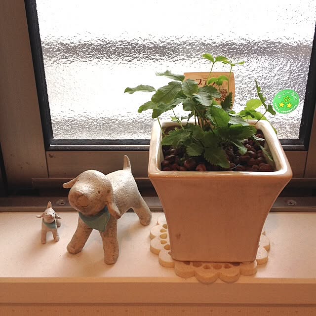 kirin.n616さんの実例写真