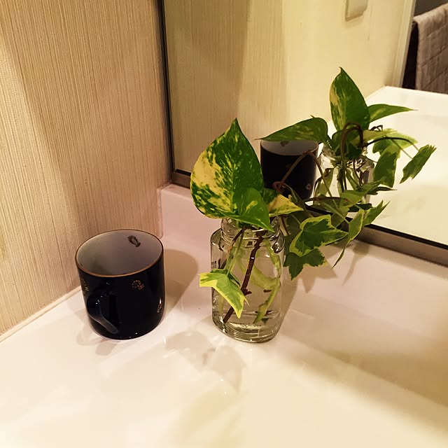 nazunaさんの実例写真