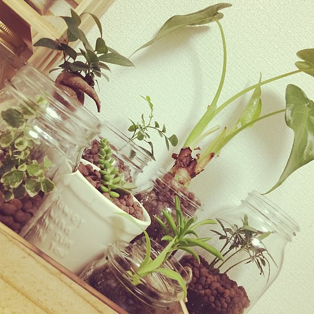 y_mommyさんの実例写真