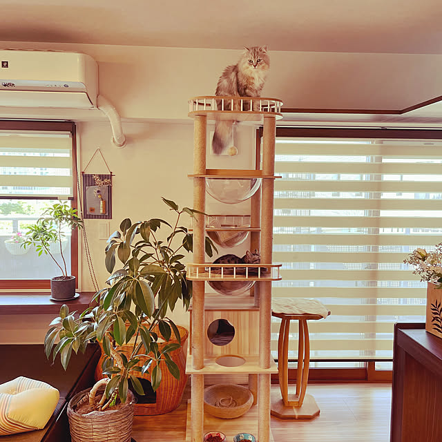 akimamさんの部屋