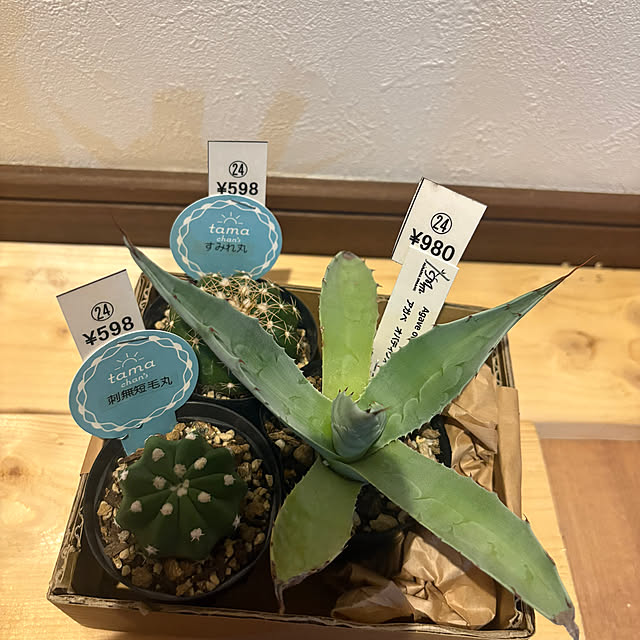 t-k-aさんの実例写真