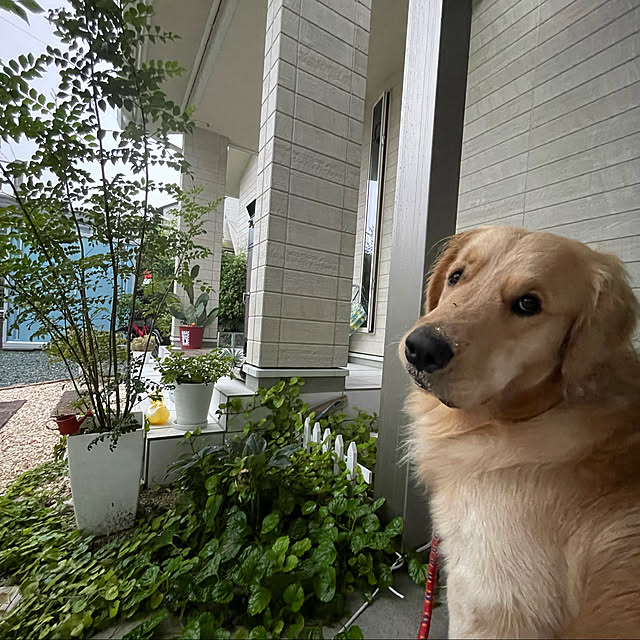 marinkoさんの実例写真