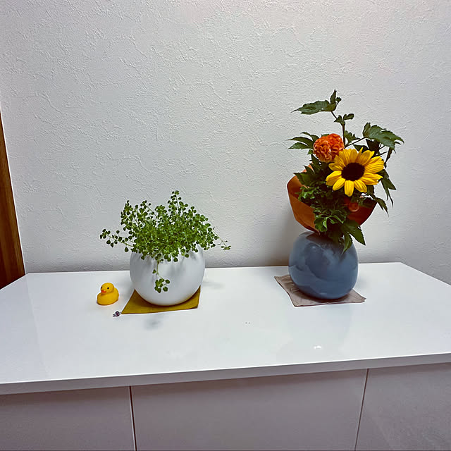 bonjour0722さんの実例写真