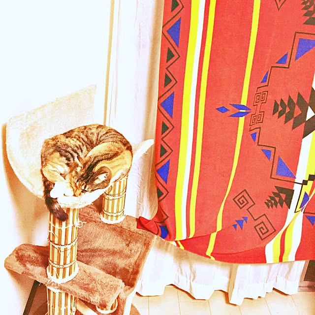 yoshinari_tokuteruさんの実例写真
