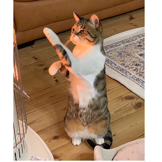 yurari.bonnさんの実例写真
