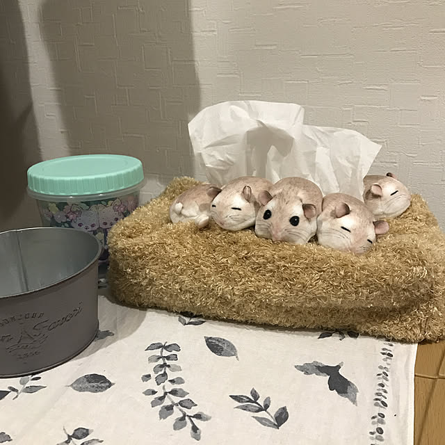 bonapetiさんの実例写真