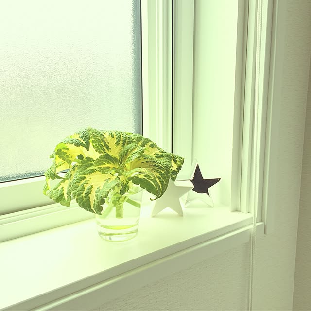 nannaさんの実例写真