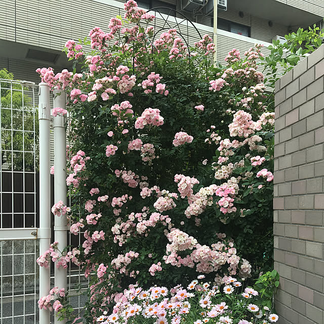 hirominさんの実例写真