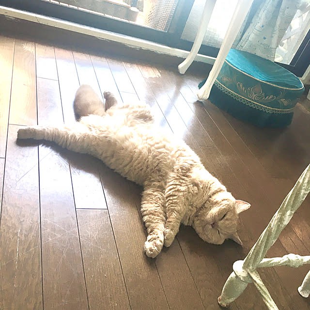 naokoさんの部屋