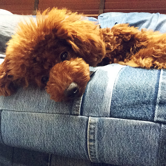 Chieさんの実例写真