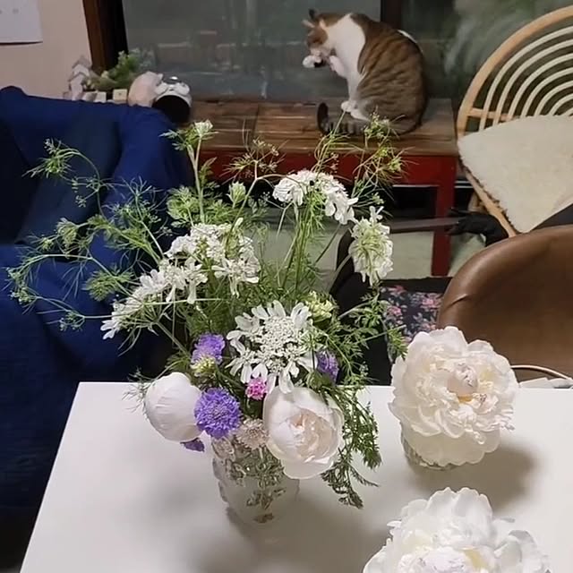 mori_6_12さんの実例写真