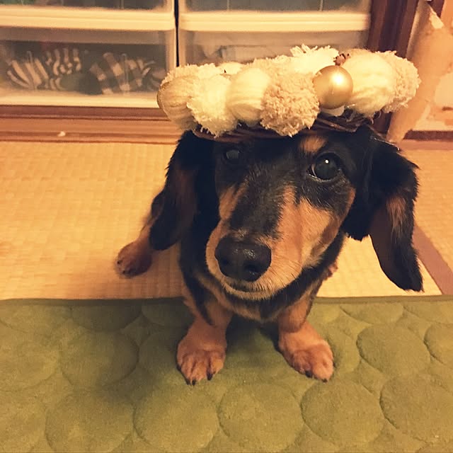 ohanaさんの実例写真