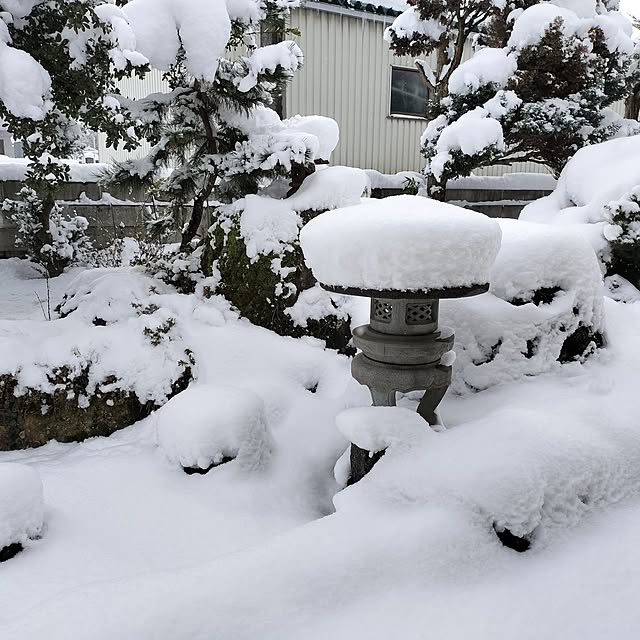 sumimarumiさんの部屋