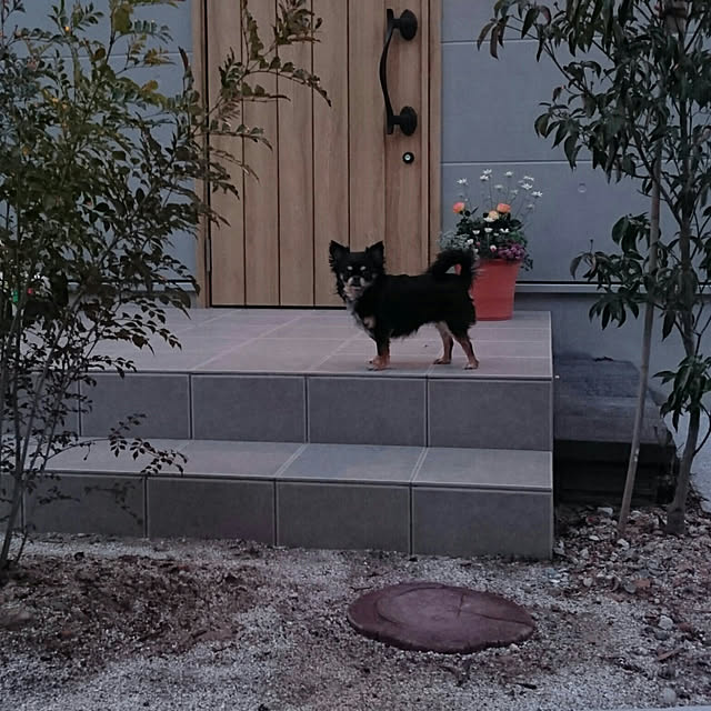 tomoさんの実例写真