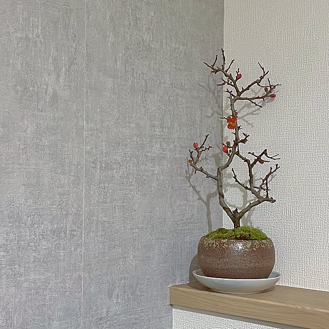 hanachanさんの実例写真