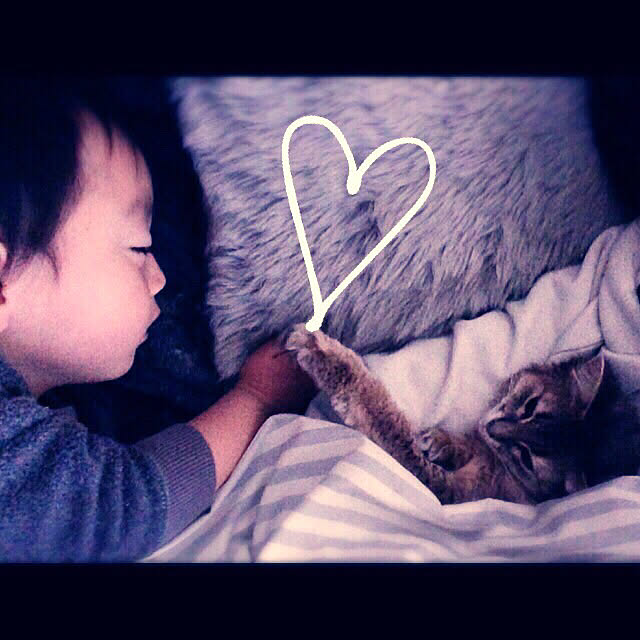 mi-coさんの実例写真