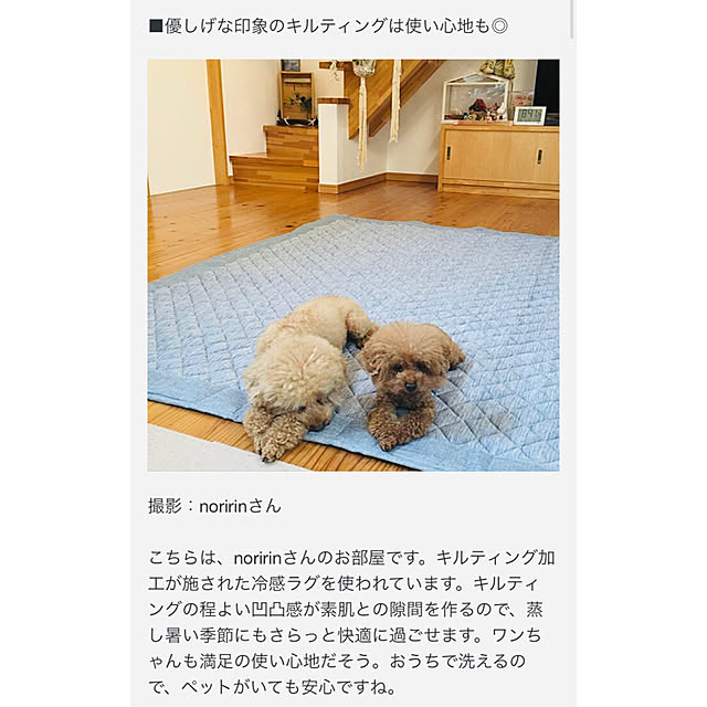 トイプードルと暮らす/トイプードル多頭飼い/リビングのインテリア実例 - 2021-07-06 12:35:03