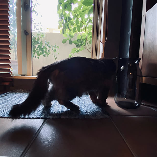 puffloveさんの実例写真