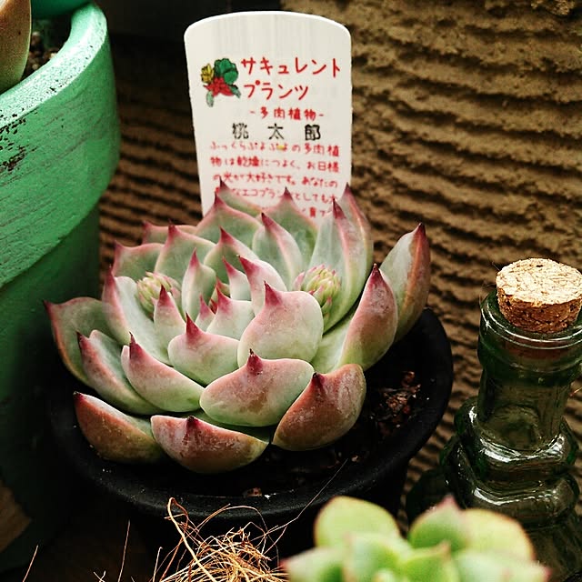 akr29さんの実例写真
